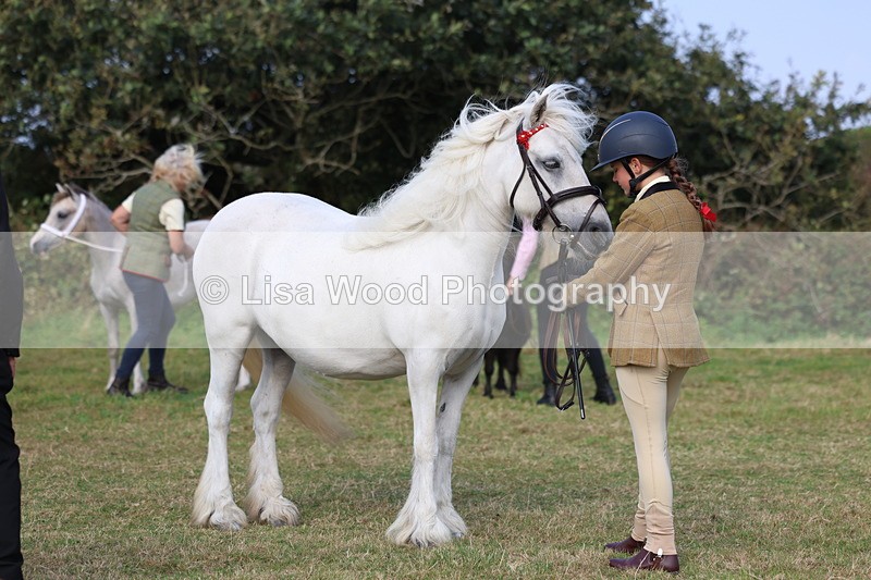 3E7A3273 - Class 12: M & M Small Breeds