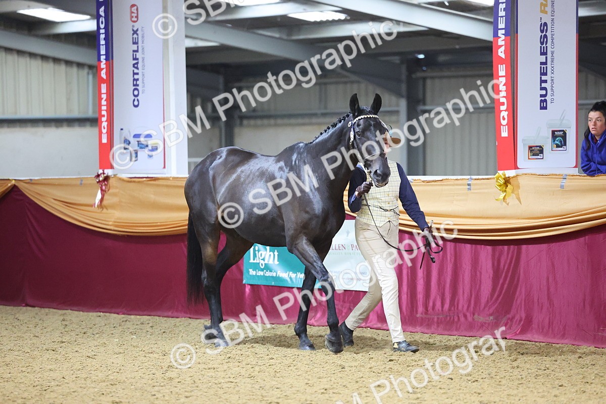 SBM_20749 - Class 902 - Supreme Final IH Veteran