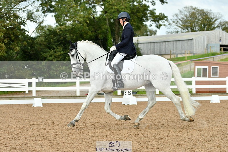 230912A-163638-01823 - Cls 18 FEI PSG