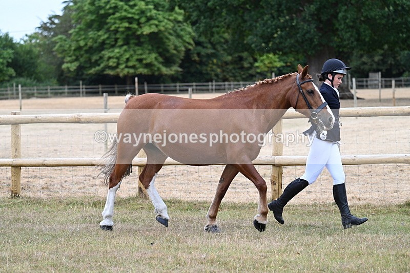WJ7_8777 - Class 4a Prettiest Mare 14.2hh and over