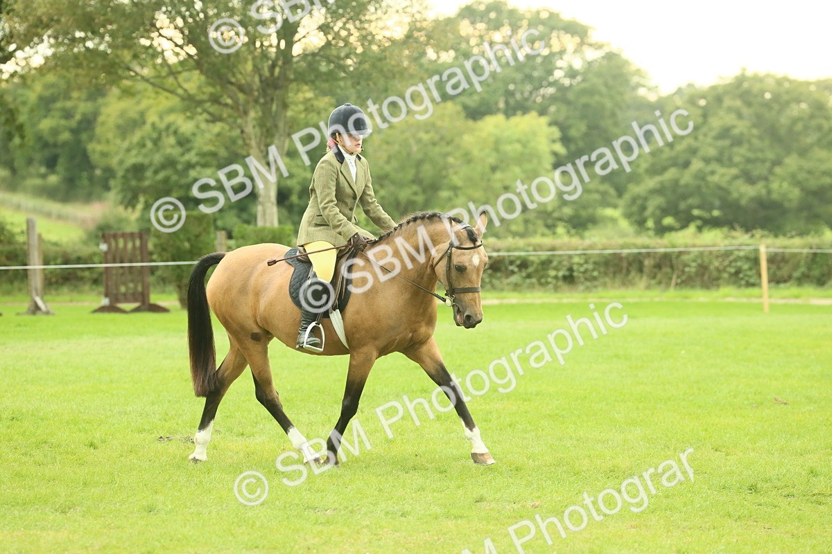SBM_73914 - S 61 - Show Pony & Show Hunter Pony Ridden