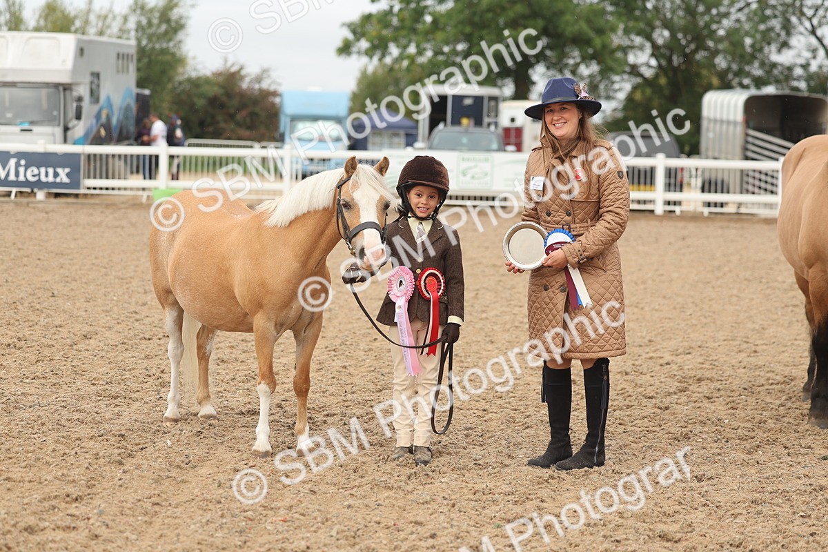 SBM_00609 - Class 13 Young Handler