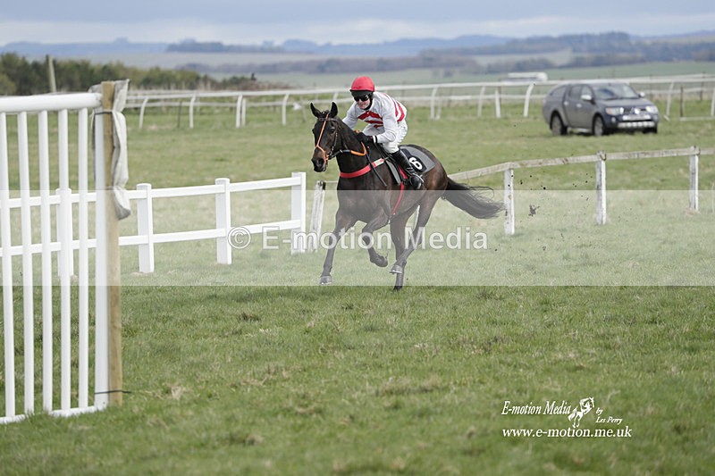 PtP 260323 0397 - New Forest Hounds Point-to-Point Larkhill 26/03/23