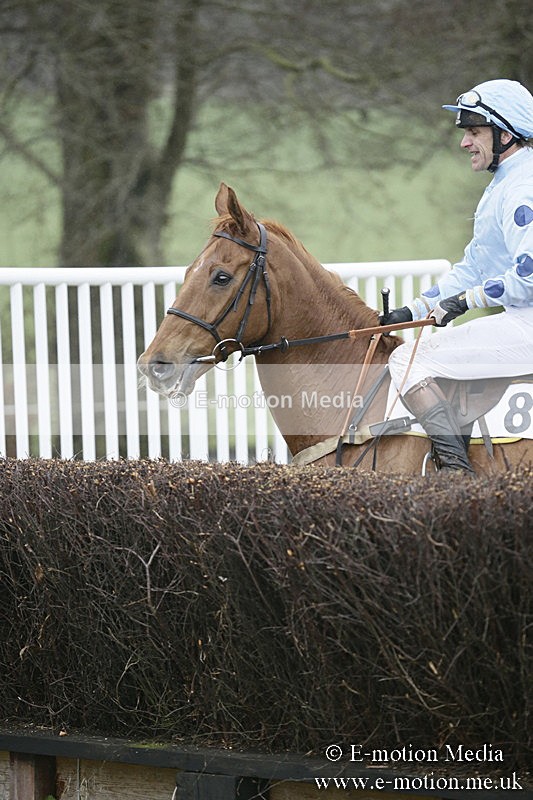 PtP 020418 -347 - Old Berks Point-to-Point Races Easter Monday 02/04/18