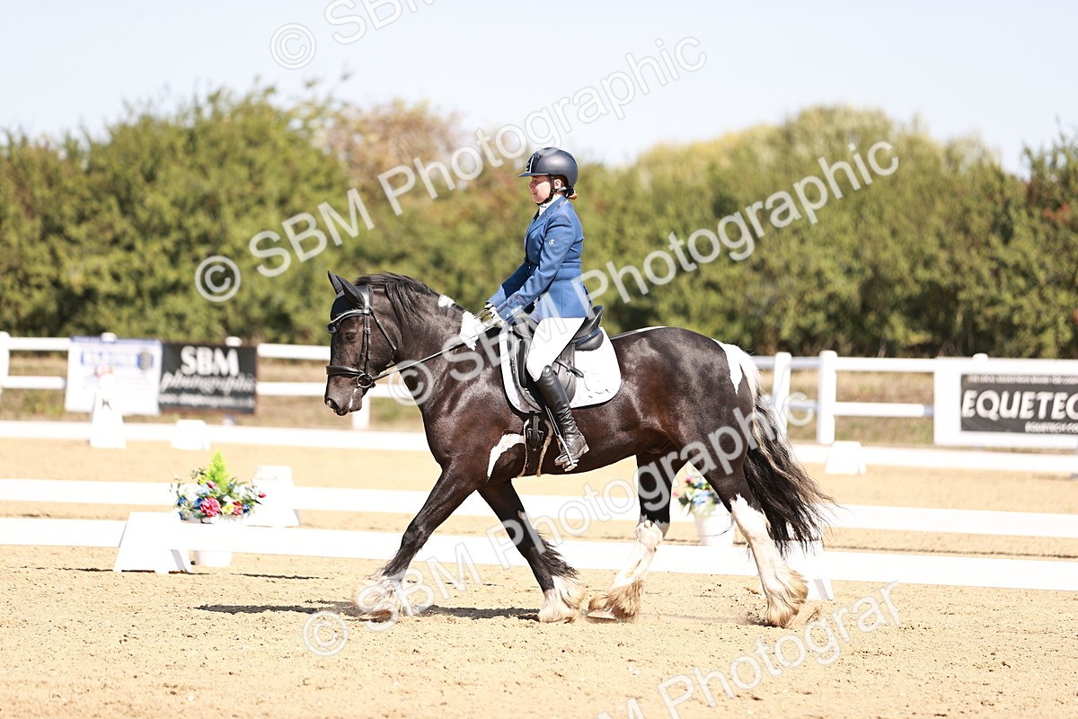 SBM_004586 - Class 12 - Novice 5 - 10.31-11.41