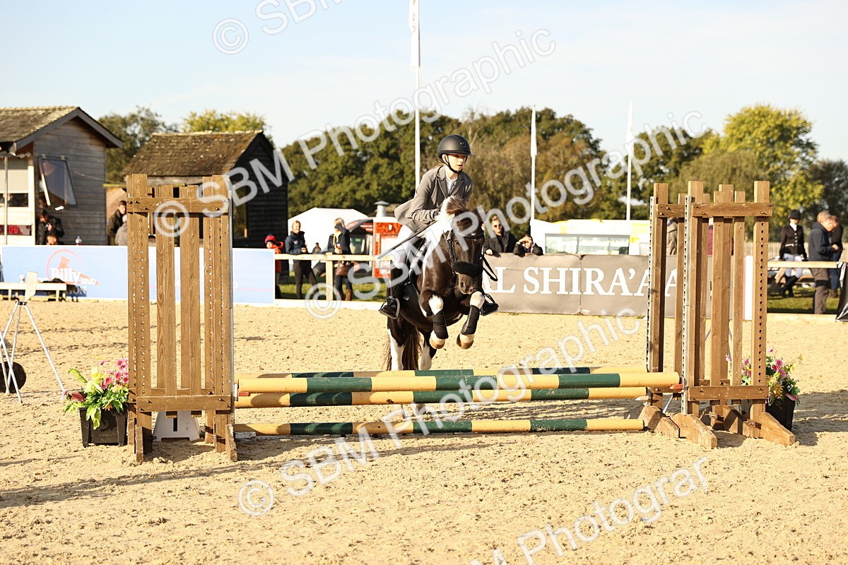 SBM_59450 - J11 - Junior Pony 50cm Championship