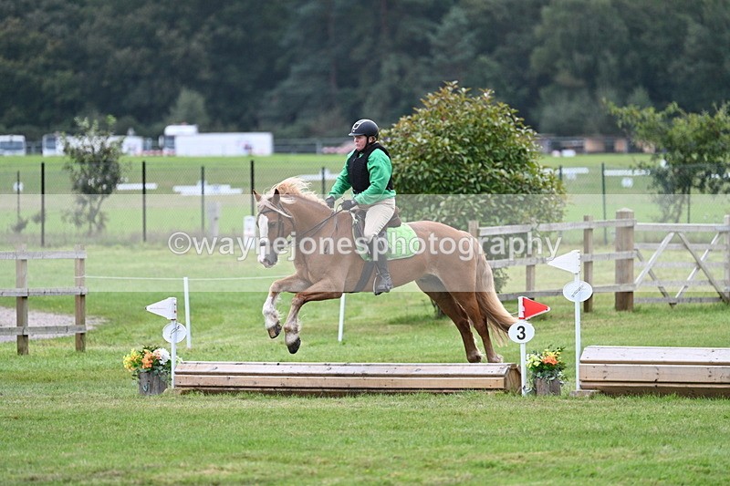 WJ7_7860 - 40cm Time 10:49 to 11:18