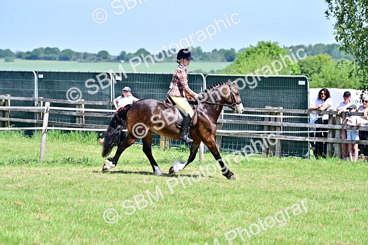 SBM_15269 - Class 95-97 - BSPS LHS Performance Ponies
