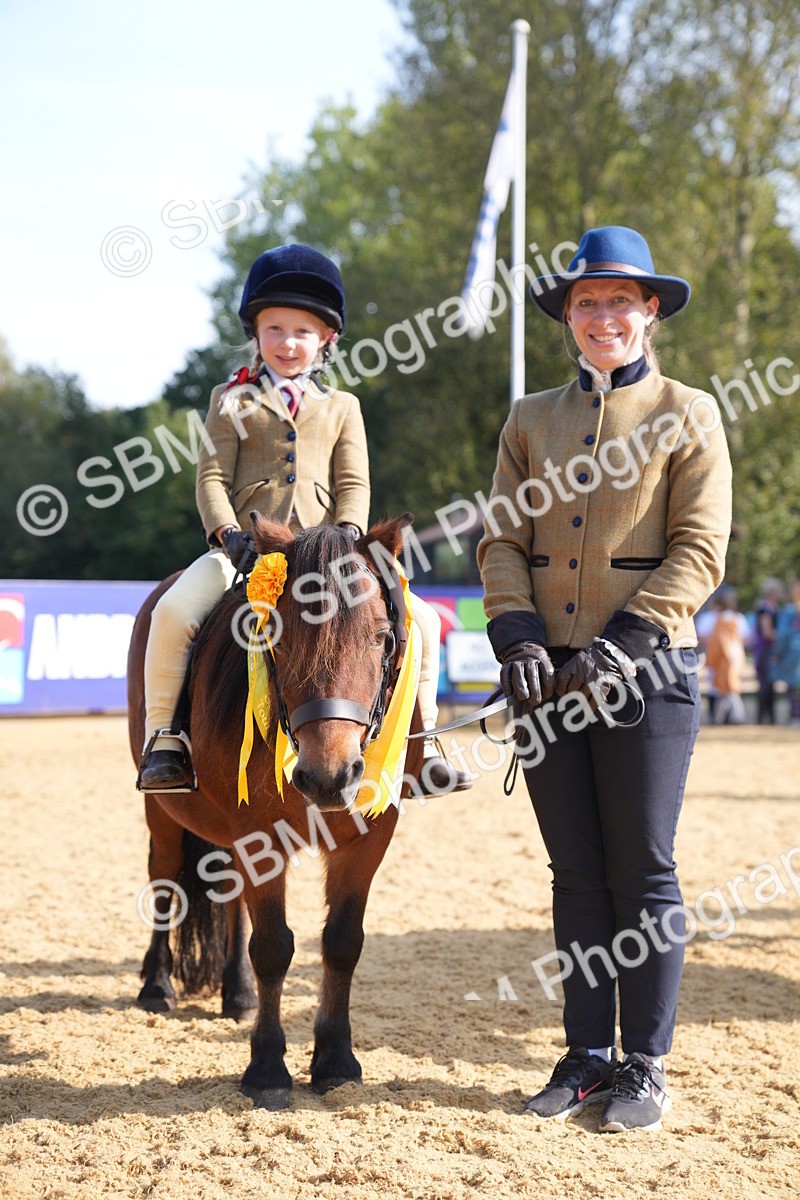 SBM_61481 - J1 - Mini Tour Junior Pony Lead Rein 30cm Championship