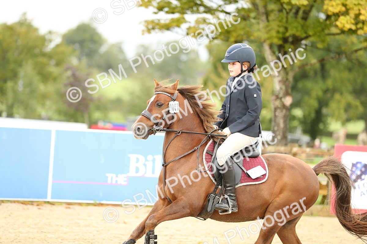 SBM_34220 - J60 Clear Round 50cm