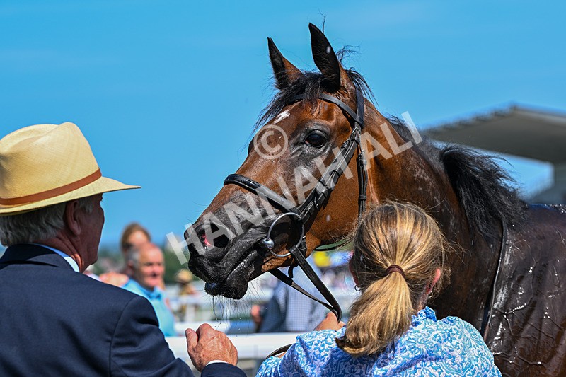 230626-Race 3-Tamzan-0767 - Race 3 15.15pm Big Racing Weekender Next 3 And 4 July Restricted Maiden Stakes