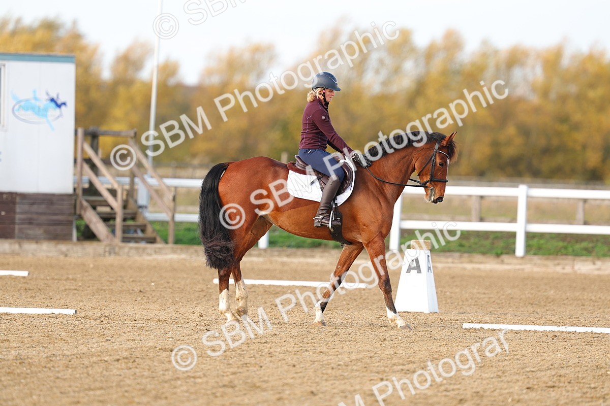 SBM_001133 - Class 13-4-9 - DR P3 CT P3 70cm CT PYO