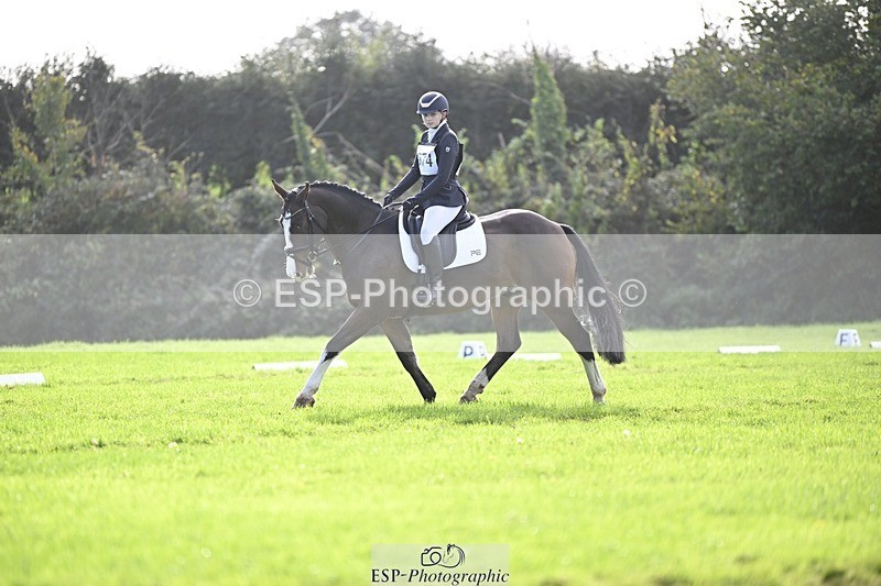 241025-120338-07005 - 374-Bella.Balian-BEECHWOOD.JOEY