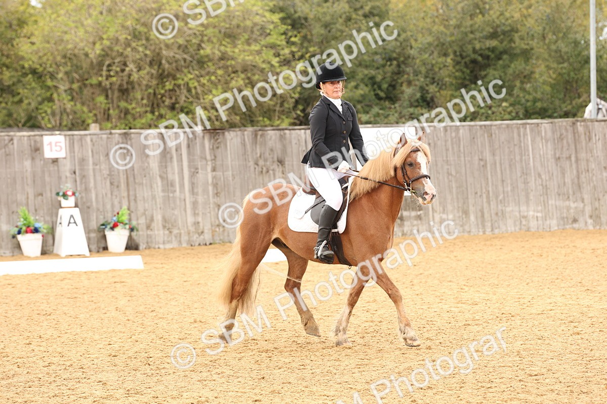 SBM_40576 - D6 - Small Tour Championship Intro 4