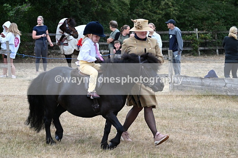 WJ7_8501 - Class 4 Prettiest Mare up to 14.2hh