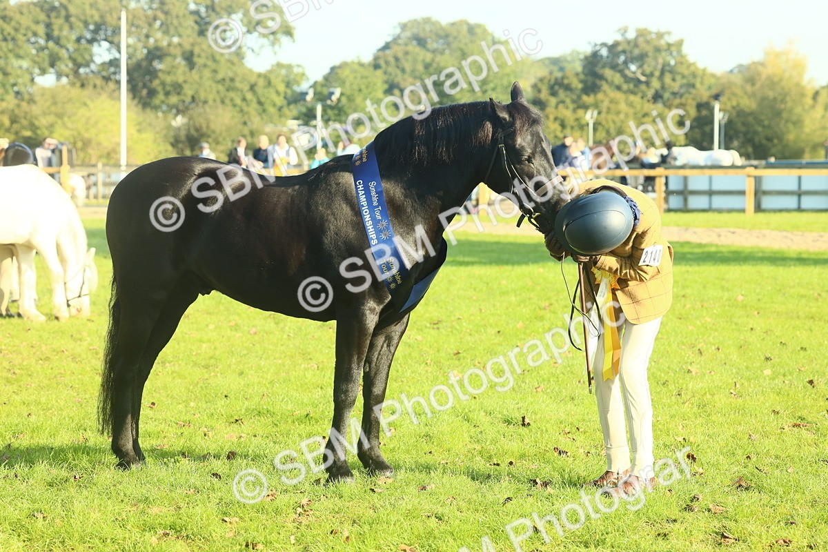 SBM_58461 - S37 - Starters In Hand Showing