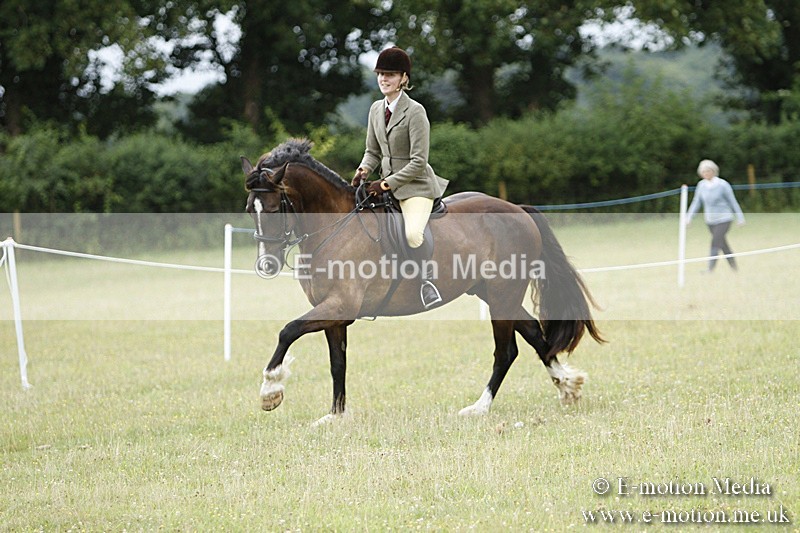 BVR160717-162 - Ring 3 BVRC Show 16/07/17