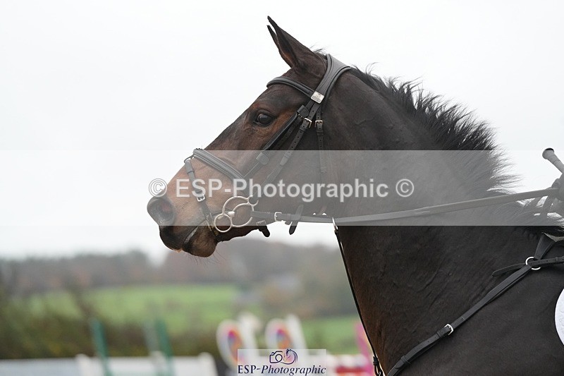 251107-125845-01031 - Cls 6 Foxhunter and 1.20m Open