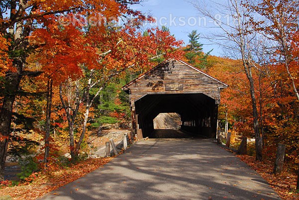 Covered Bridge - Out-and-About
