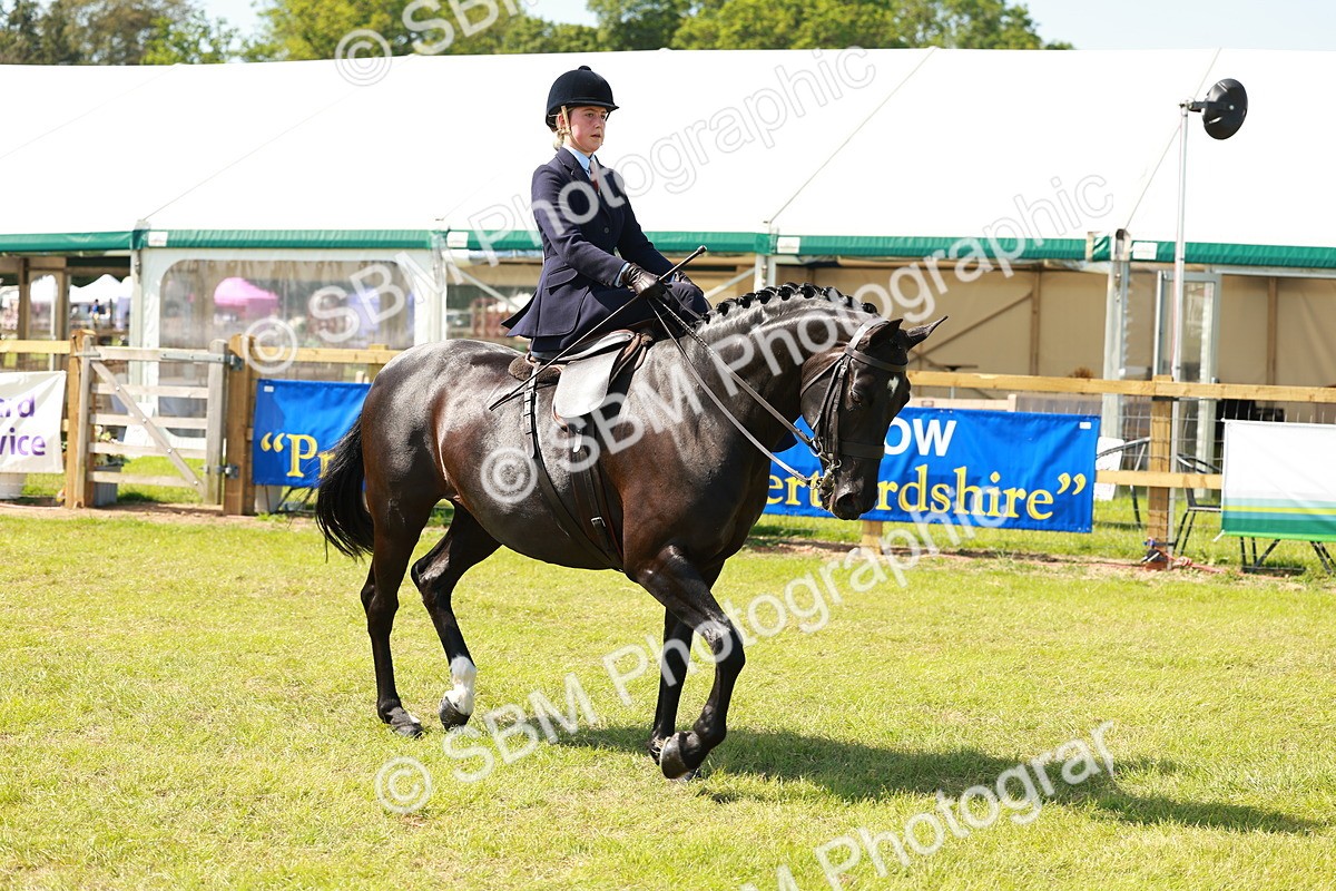 SBM_13310 - Class 70-71 - Side Saddle