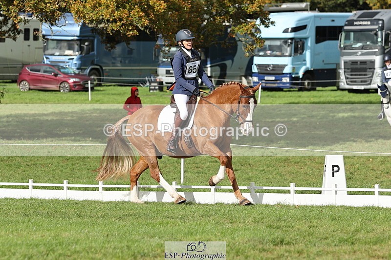 251024A-135009-12679 - H-654-Philippa.Skelton