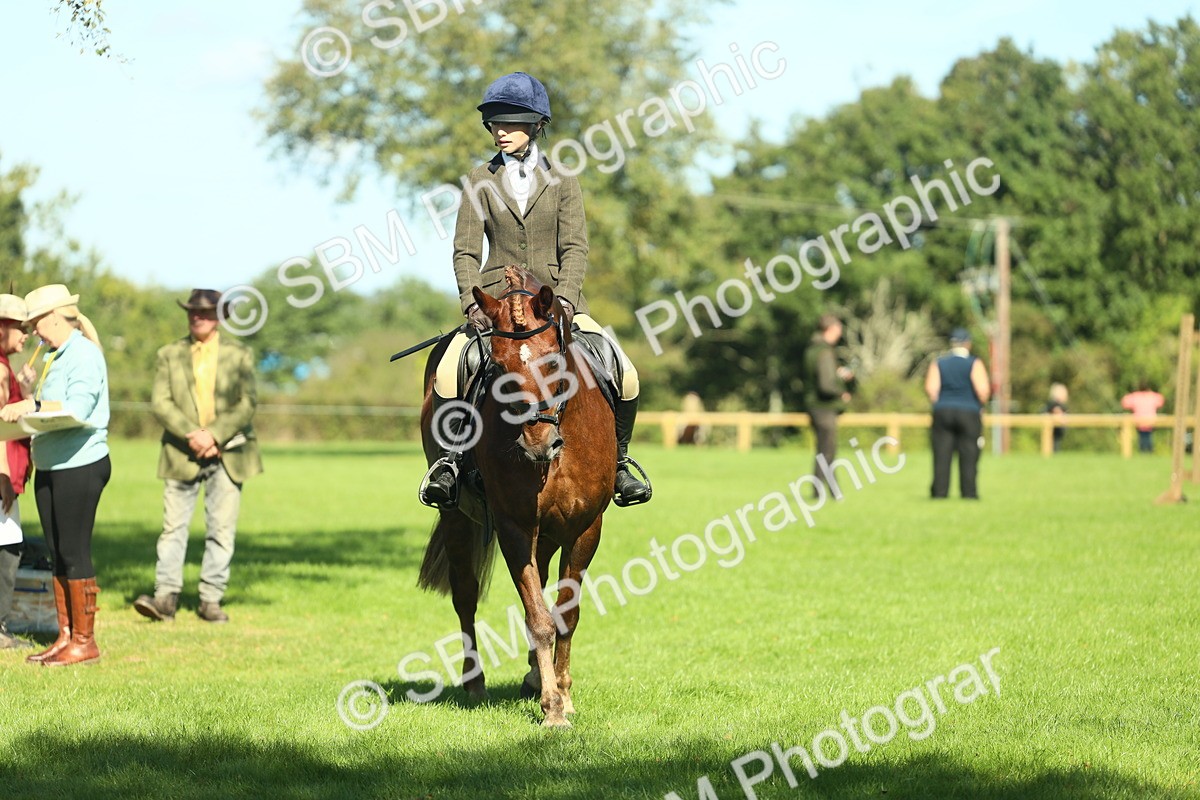SBM_39145 - S29 - Novice & Newcomers Working Hunter Pony