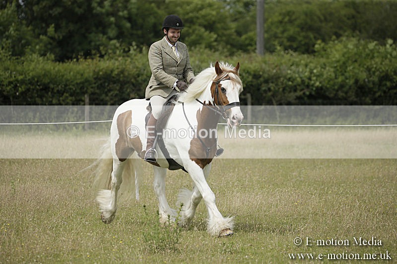 B230619-0427 - Bourne Valley Riding Club Summer Show 23/06/19