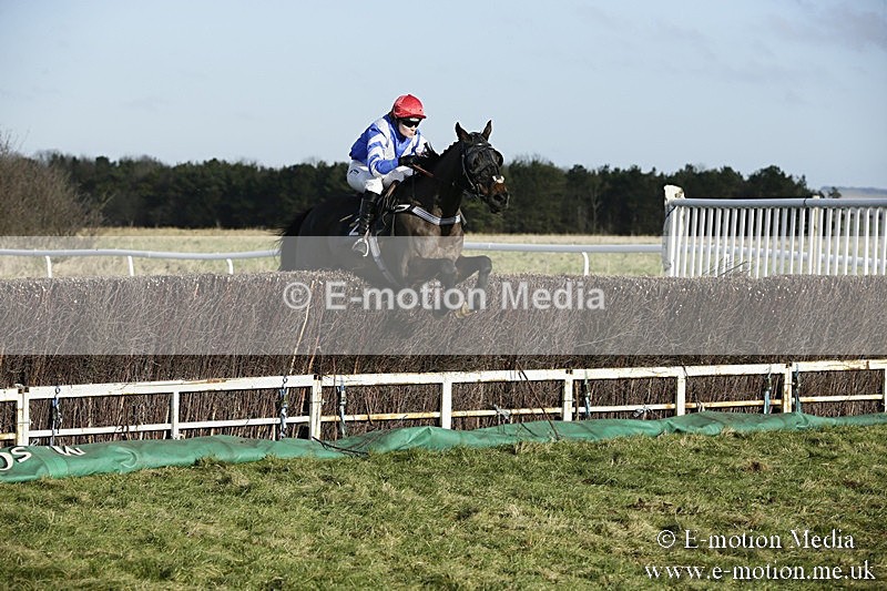 PtP 070118 -75 - Larkhill Racing Club Point to Point Larkhill 07/01/2018
