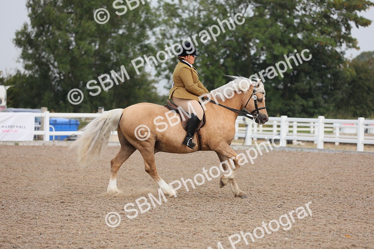SBM_10010 - Class 302 Ridden M&M -Large Breeds