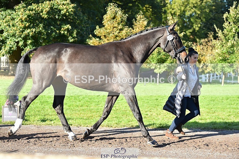 231022-103056-22536 - 477-NPS.KLASSEY-Elizabeth.Jones-TrotUp+SJ