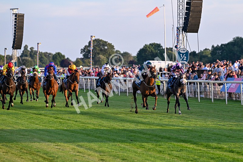 240726-Race 6-Explosive Finnish-5568 - Race 6 20.25pm Sky Bet Go-Racing-In-Yorkshire Summer Festival Handicap
