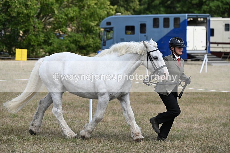 WJ6_6494 - Class 20 In-hand Cob