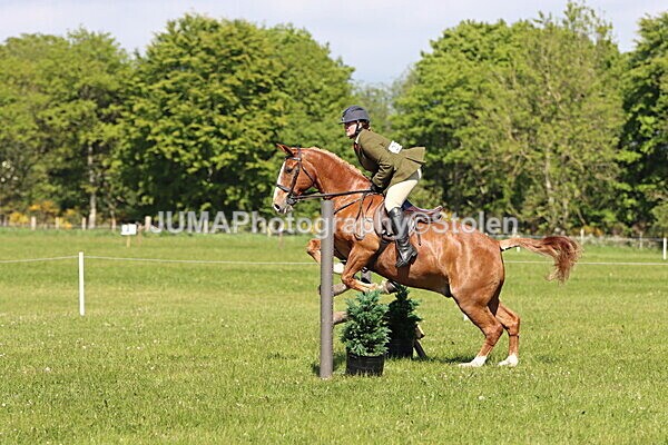 IMG_4568 - Working Hunter