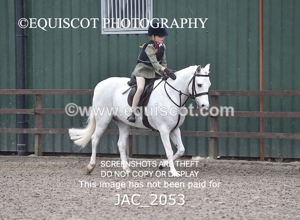 JAC_2053 - CLASS 1 Nursery Novice Working Hunter