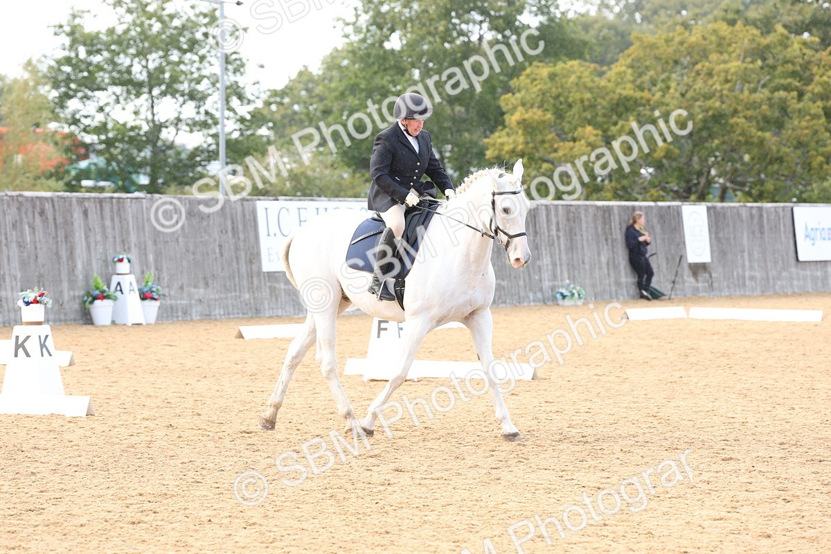 SBM_28280 - D20 - Grand Tour Championship Elementary 3