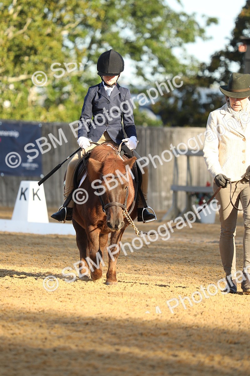 SBM_33624 - D26 - Starers - Lead Rein