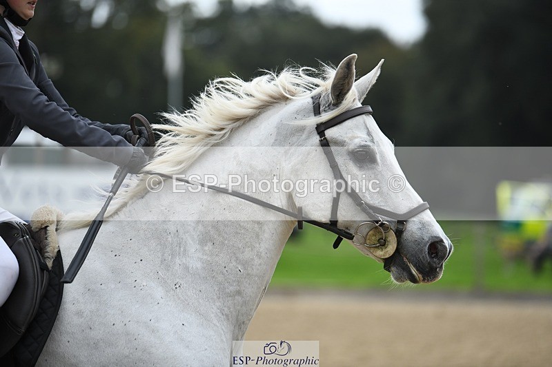 231001-140809-02809 - Cls 3 90cm