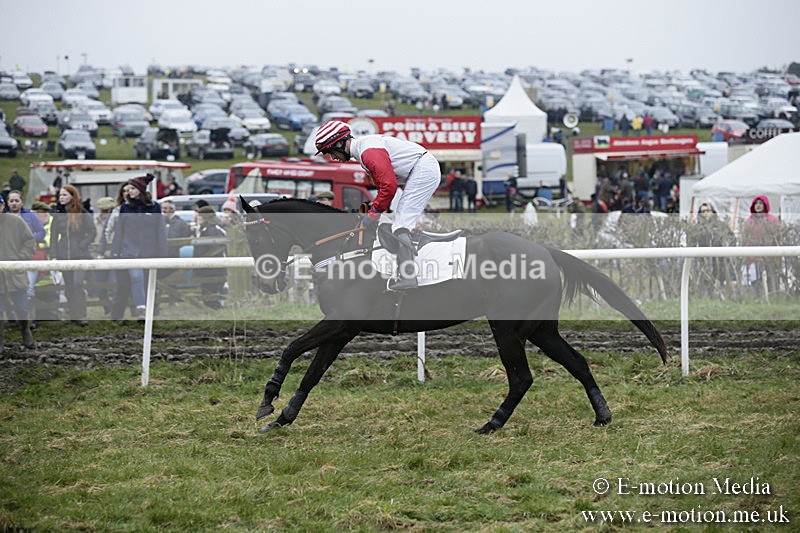 PtP 020418 -16 - Old Berks Point-to-Point Races Easter Monday 02/04/18