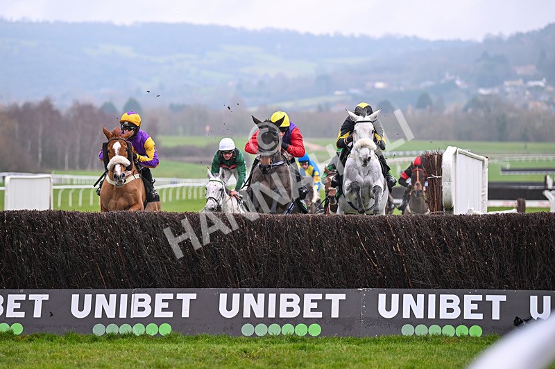 131224-Race 5-Dashel Drasher-9338 - Race 5