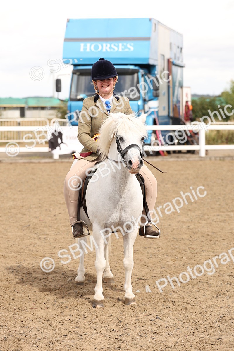 SBM_05240 - Class 56b -  Style & Performance - 50cm (20+)