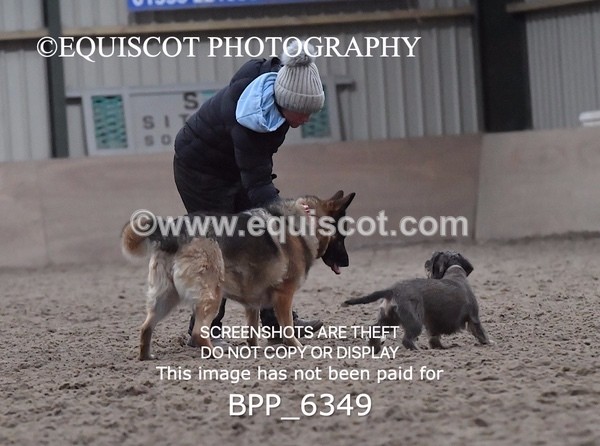 BPP_6349 - CARLA DOGS