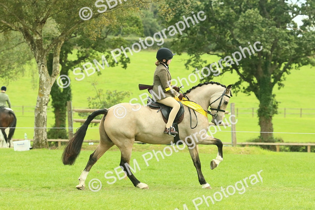 SBM_75022 - Ridden Pony Supreme Championship