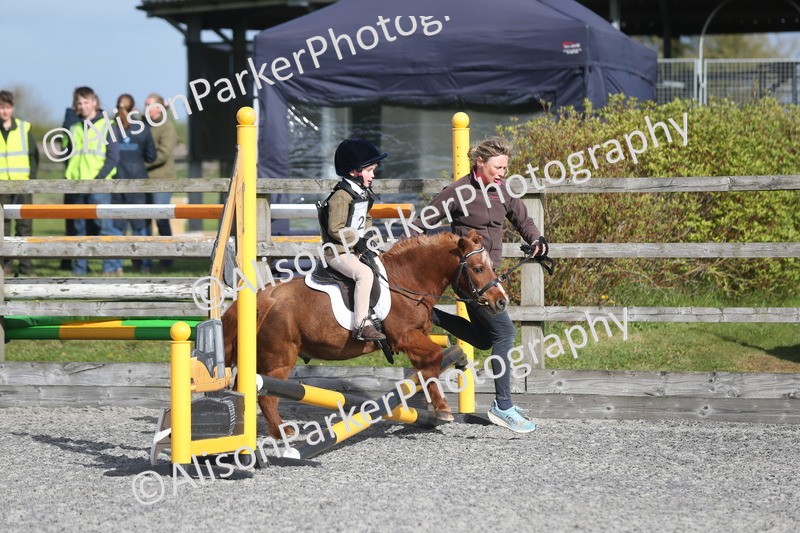 20260412-0075 - Show Jumping