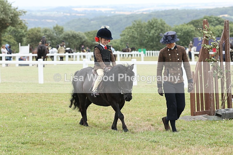 JPP_1723 - Class 18: Tiny Tots Working Hunter Pony