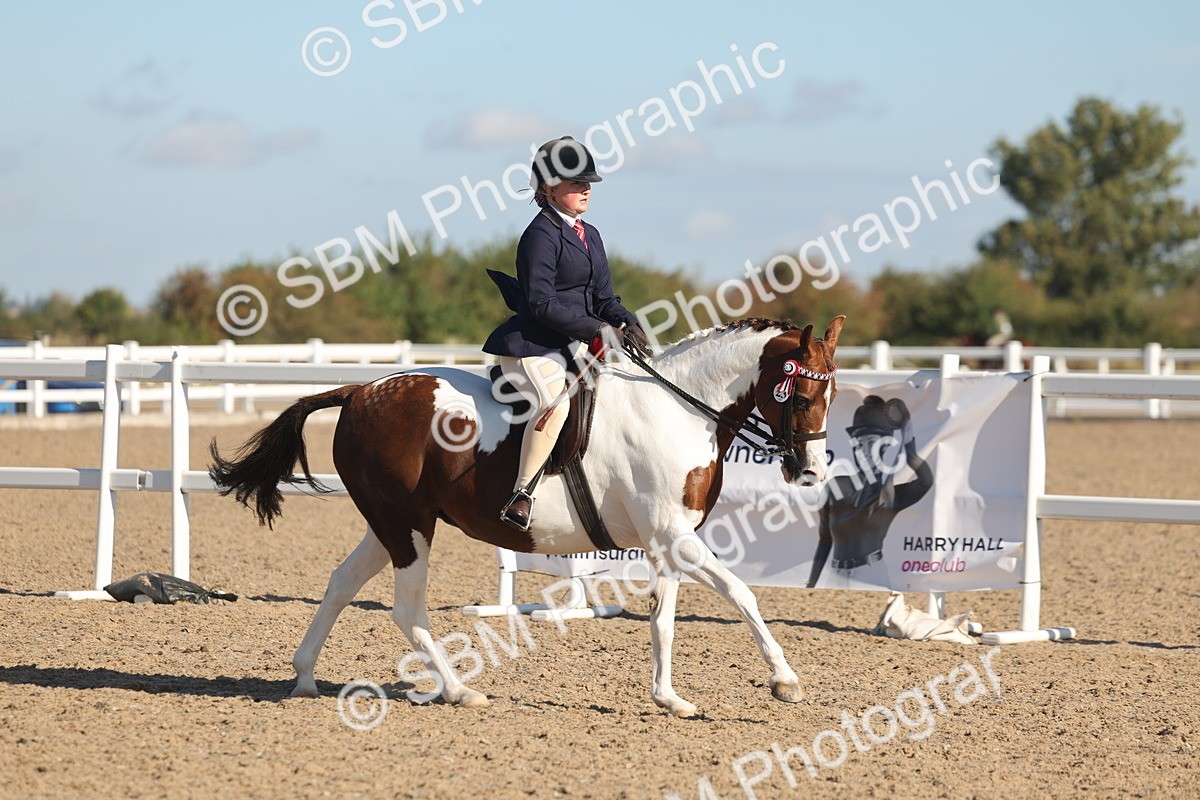 SBM_12312 - Class 304 - Ridden part Bred Horse Pony