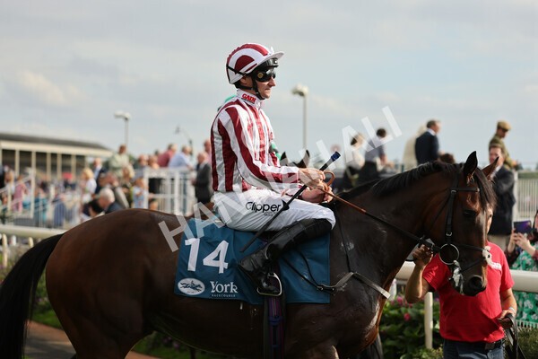 yr04092022r6-17 - Race 6 4.40pm Hanson Springs Stakes