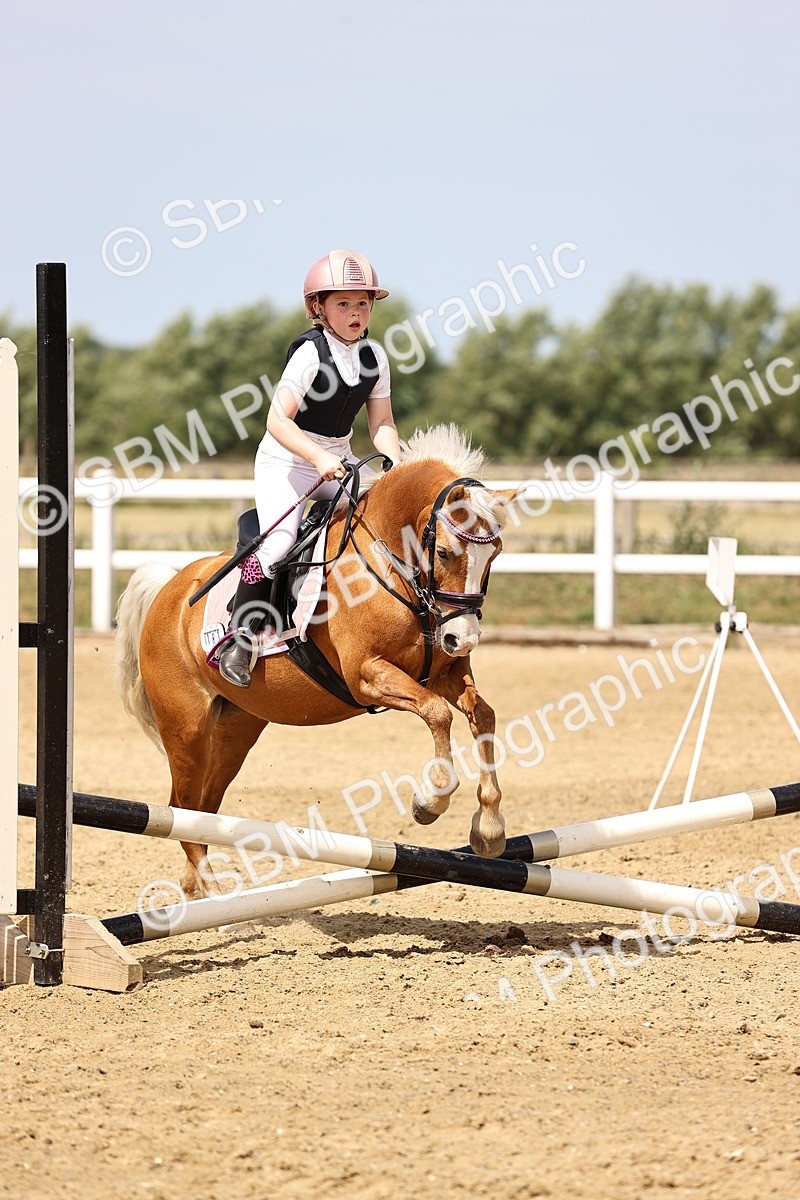 SBM_001787 - Class 2 - 50cm