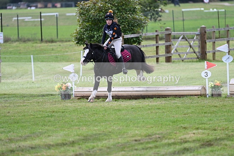 WJ7_8056 - 40cm Time 10:49 to 11:18