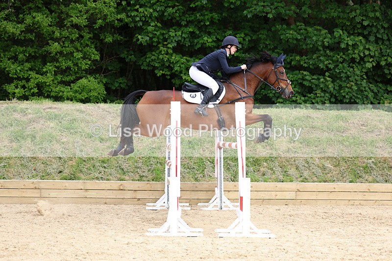 3E7A7634 - Class 8: Senior Foxhunter/1.20 open