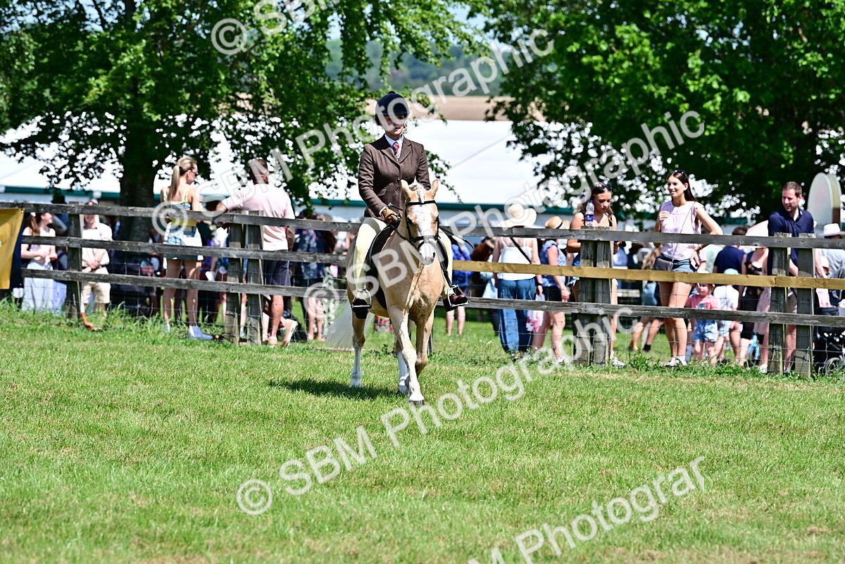 SBM_15333 - Class 95-97 - BSPS LHS Performance Ponies